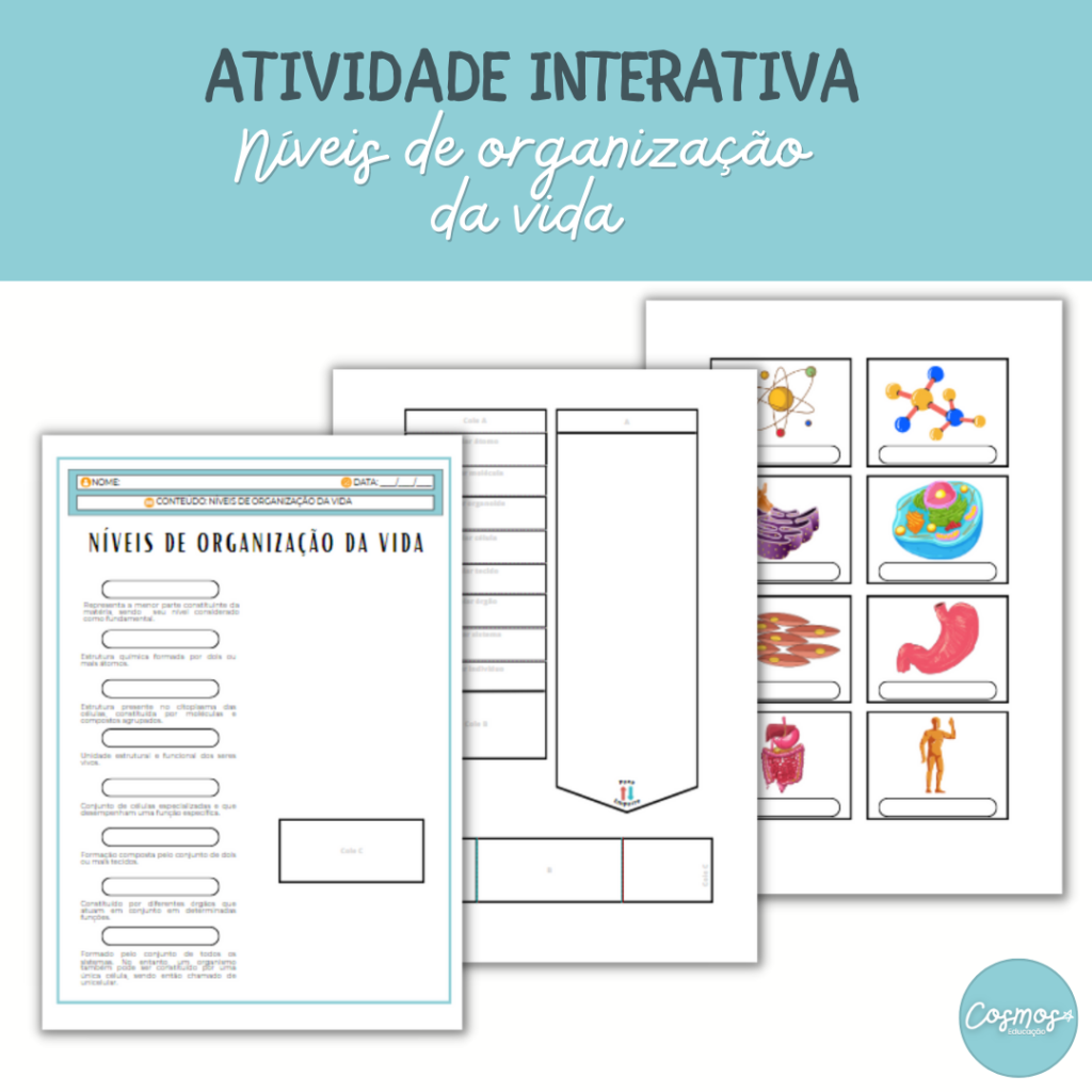 Níveis de organização da vida - Cosmos Educação