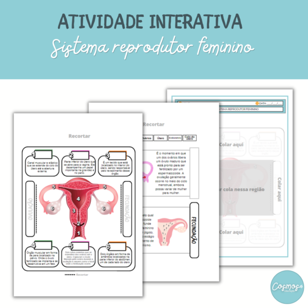 Sistema reprodutor feminino