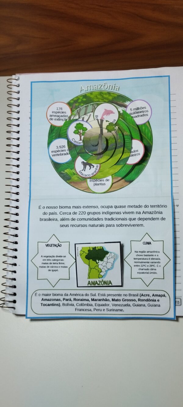 Biomas brasileiros - Image 6