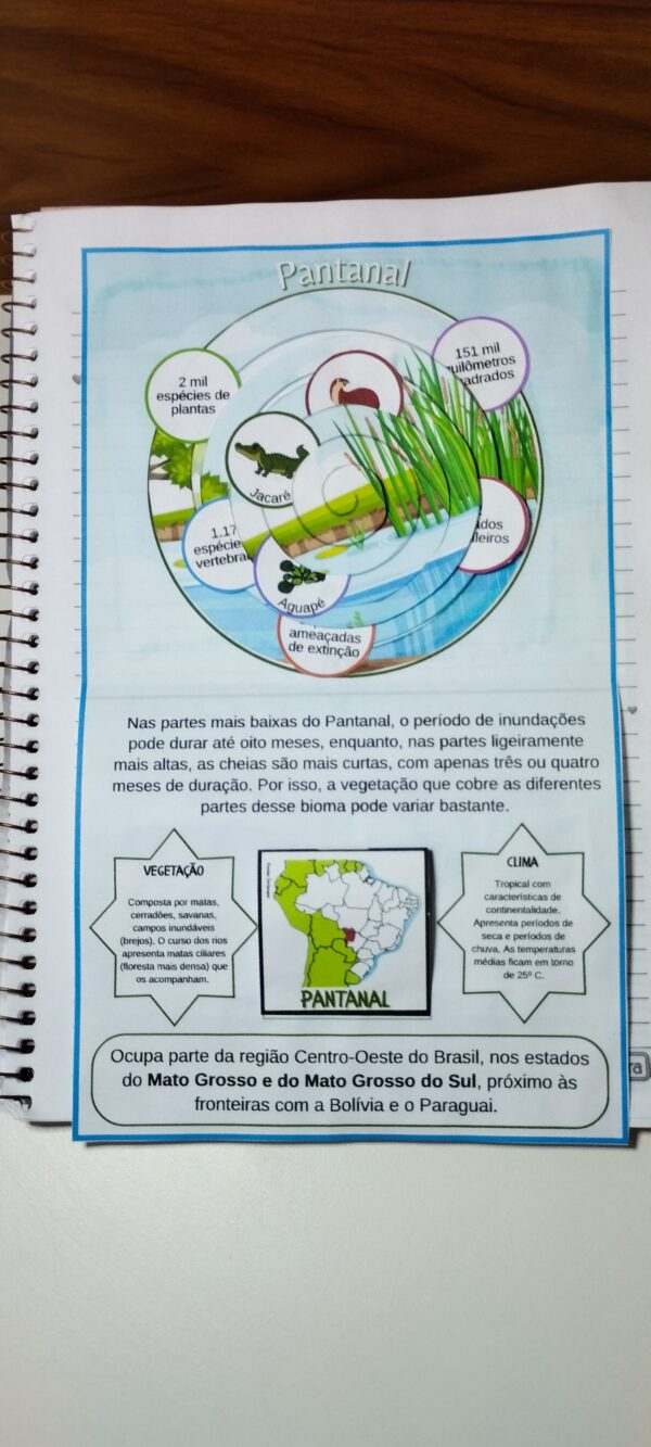 Biomas brasileiros - Image 9