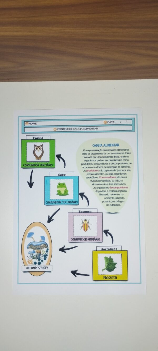 Cadeias alimentares - Image 5