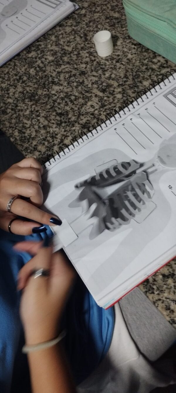 Sistema respiratório - Imagem 3