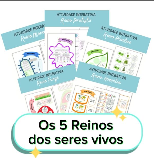 COMBO - OS 5 REINOS