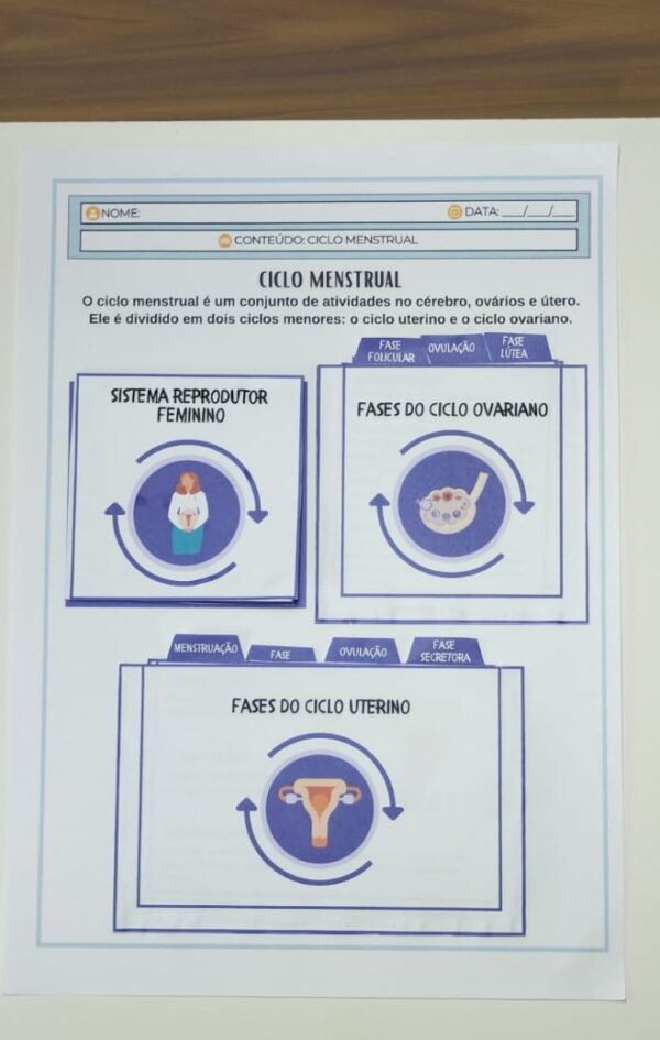 Ciclo menstrual - Image 3