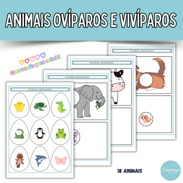 Animais ovíparos e vivíparos