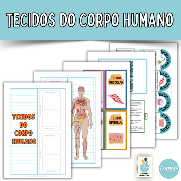 Tecidos do corpo humano