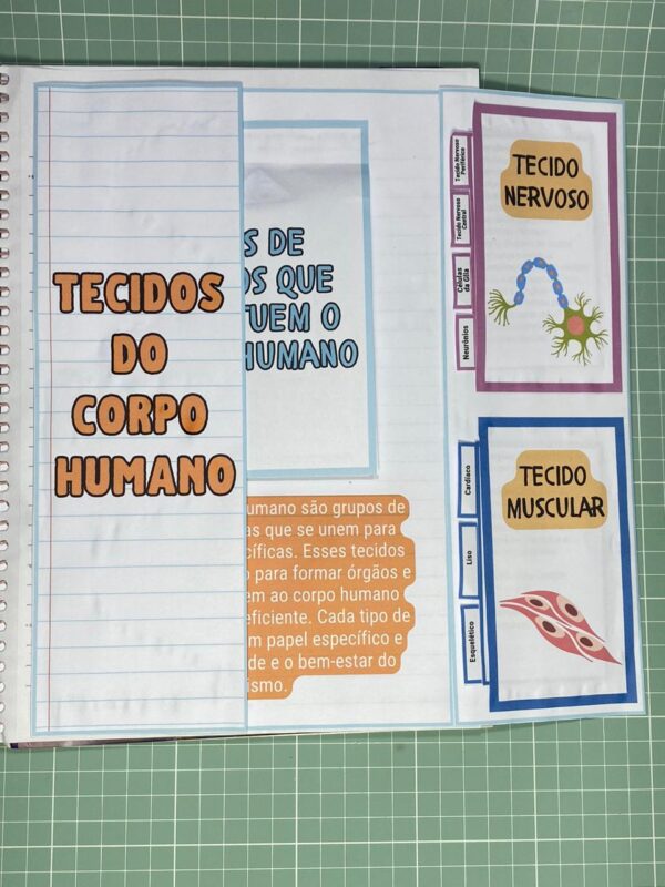 Tecidos do corpo humano - Image 4