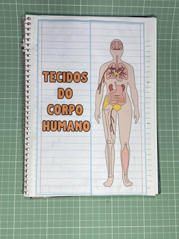 Tecidos do corpo humano - Image 3