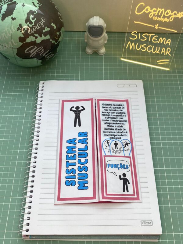 Sistema muscular - Imagem 5