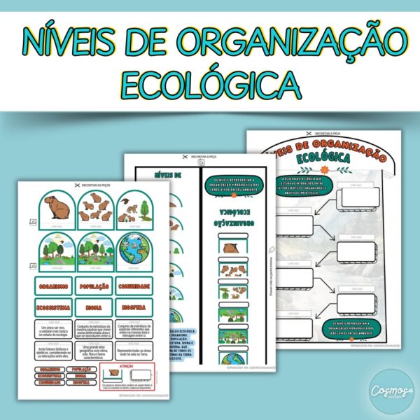 Níveis de organização ecológica