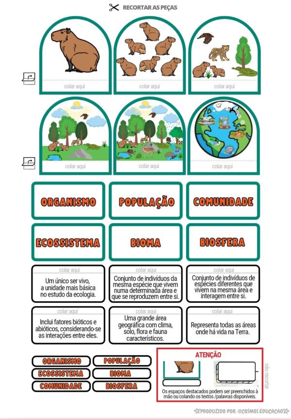 Níveis de organização ecológica - Image 2