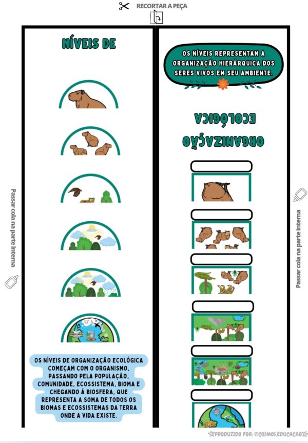 Níveis de organização ecológica - Image 3